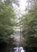 Beavers Bend